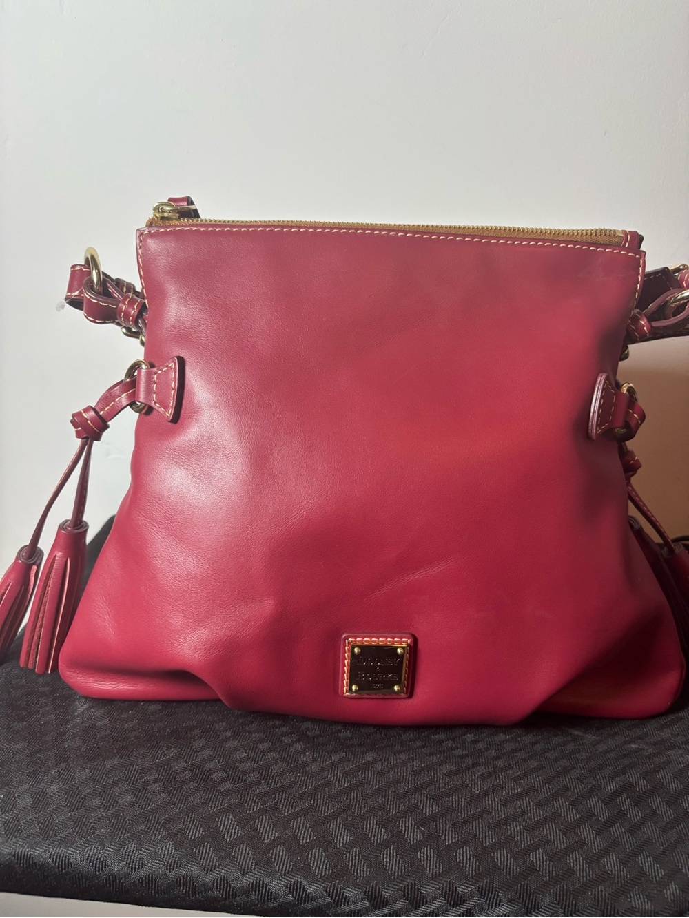 Dooney & Bourke Pink Leather Crossbody with Tassels